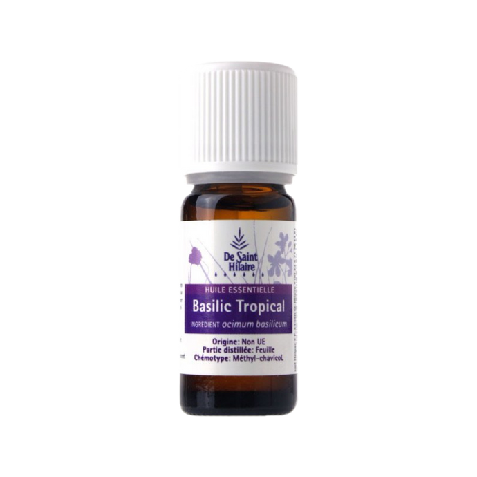 Basilic tropical - Ocimum basilicum - De Saint-Hilaire - 10 ml