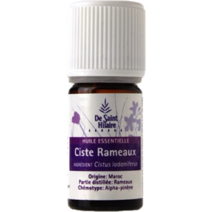 Ciste ladanifère - Cistus ladaniferus - De Saint-Hilaire - 5 ml