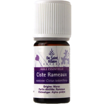 Ciste ladanifère - Cistus ladaniferus - De Saint-Hilaire - 5 ml