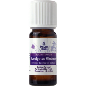 Eucalyptus globuleux - Eucalyptus globulus - De Saint-Hilaire - 10 ml