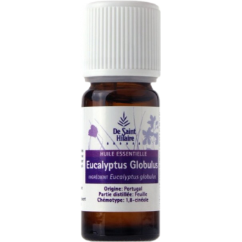 Eucalyptus globuleux - Eucalyptus globulus - De Saint-Hilaire - 10 ml