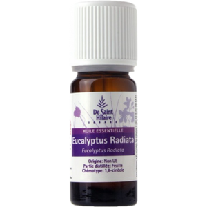 Eucalyptus radié - Eucalyptus radiata - De Saint-Hilaire - 10 ml