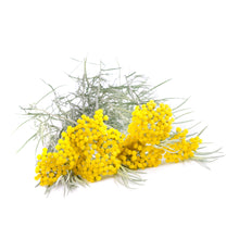 Charger l&#39;image dans la galerie, Hélichryse italienne - Helichrysum italicum - De Saint-Hilaire - 5 ml