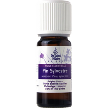 Charger l&#39;image dans la galerie, Pin sylvestre - Pinus sylvestris - De Saint-Hilaire - 10 ml