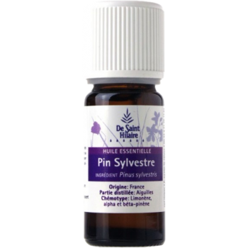 Pin sylvestre - Pinus sylvestris - De Saint-Hilaire - 10 ml