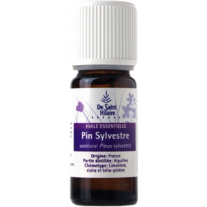 Pin sylvestre - Pinus sylvestris - De Saint-Hilaire - 10 ml