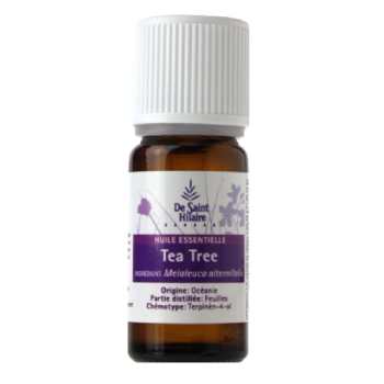 Tea tree - Melaleuca alternifolia - De Saint-Hilaire - 10 ml