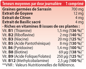 Ultra vegan B - Holistica - équilibre nerveux et régime végétarien/végétalien - 30 comprimés